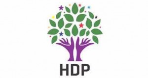 Sonuçlar HDP iddiasının sürdürülmesi için yeterlidir
